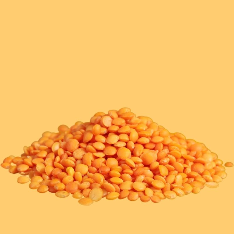 Red Lentil