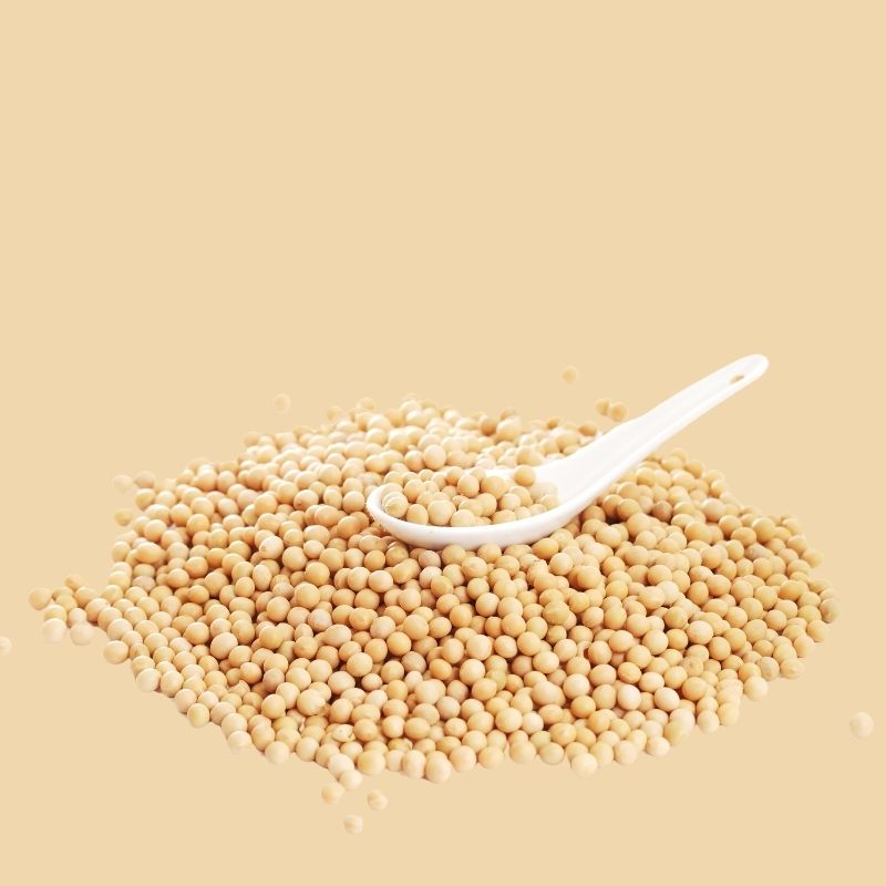 Soya Beans