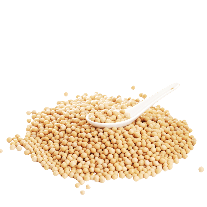 Soya Beans