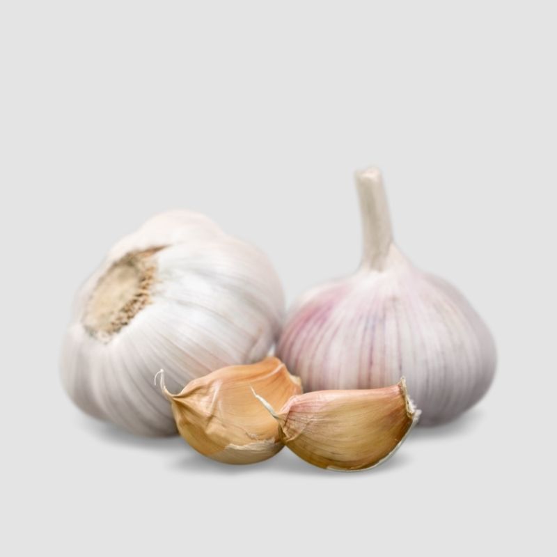Garlic