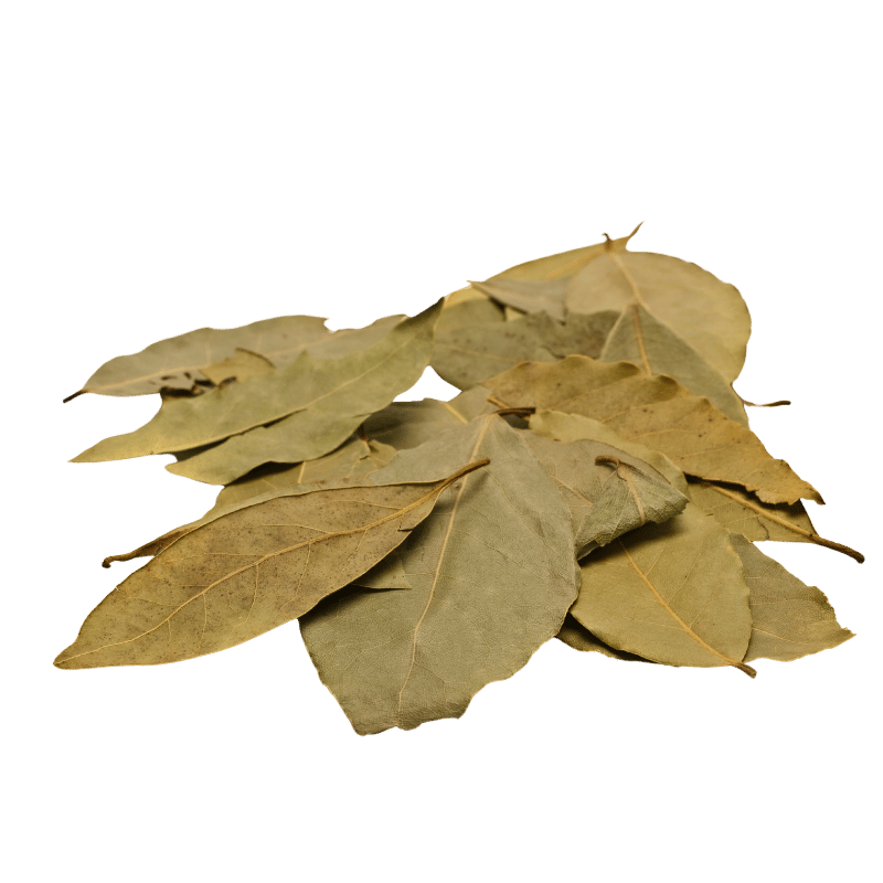 Bay Leaf