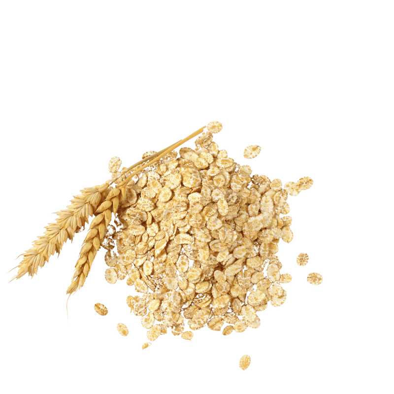 Oats