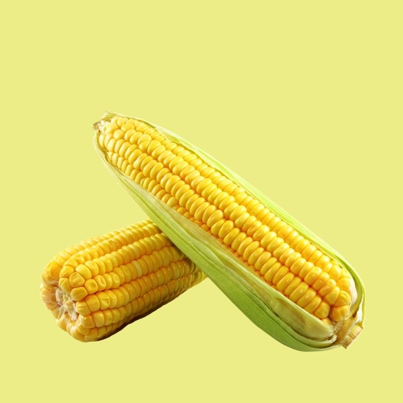 Corn