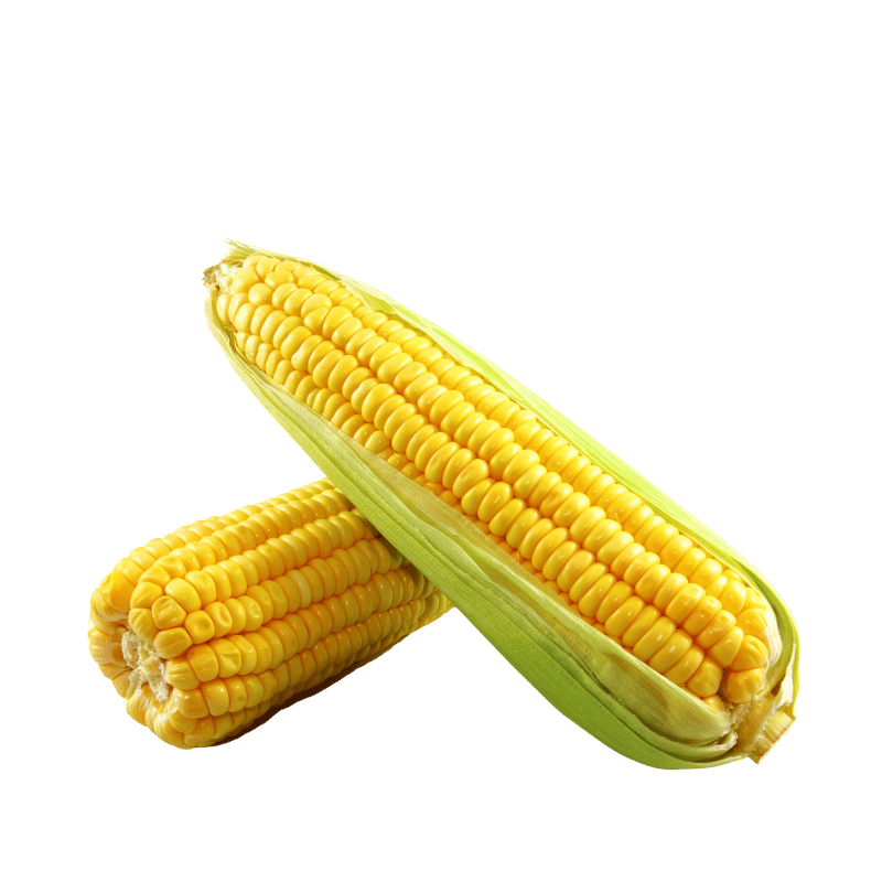Corn