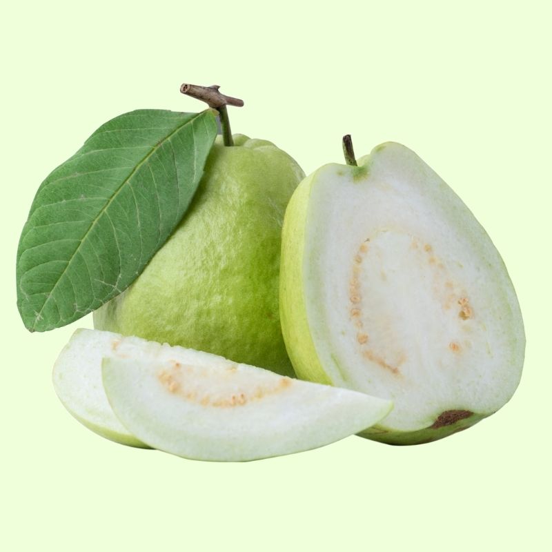 Guava