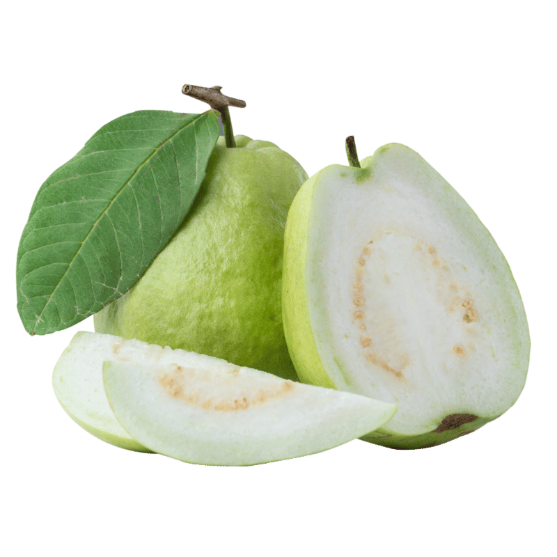 Guava