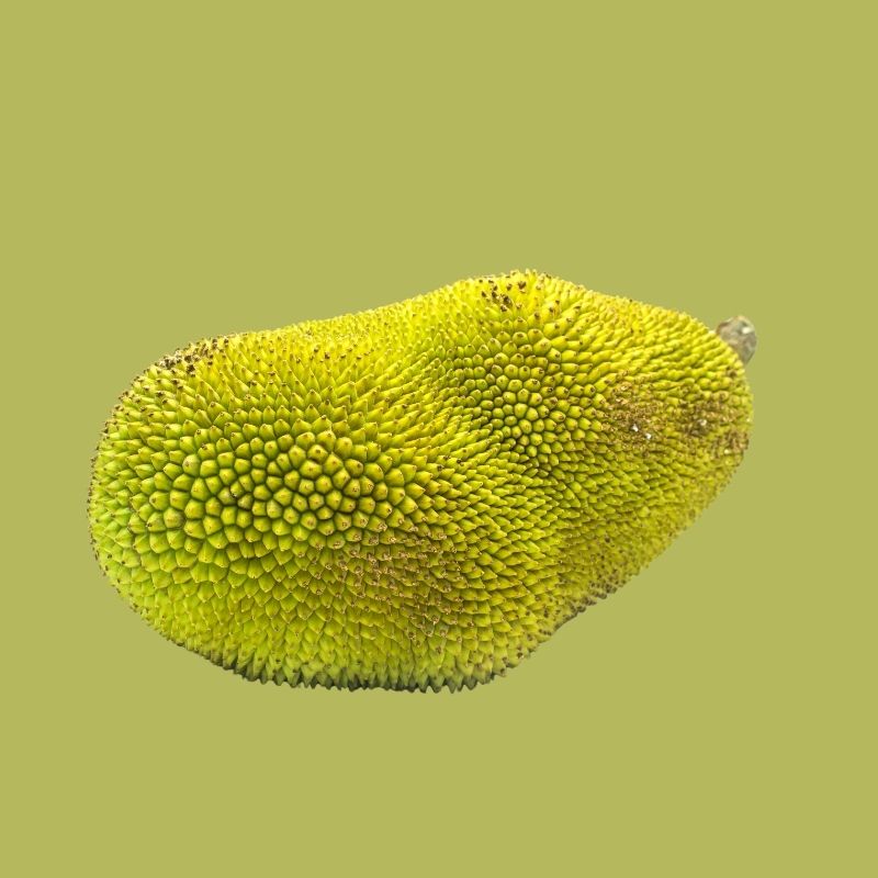 Jackfruit