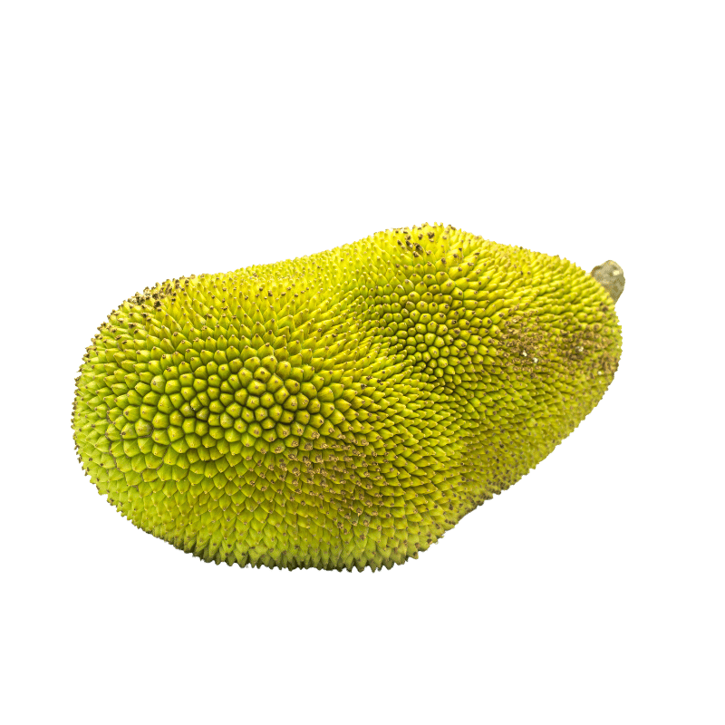 Jackfruit