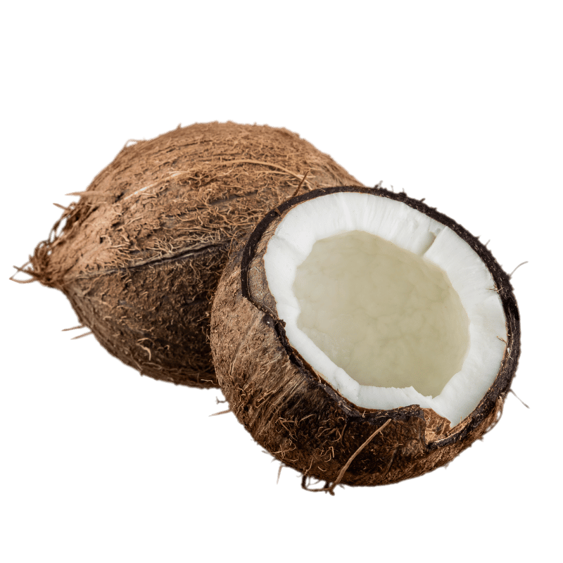 Coconut