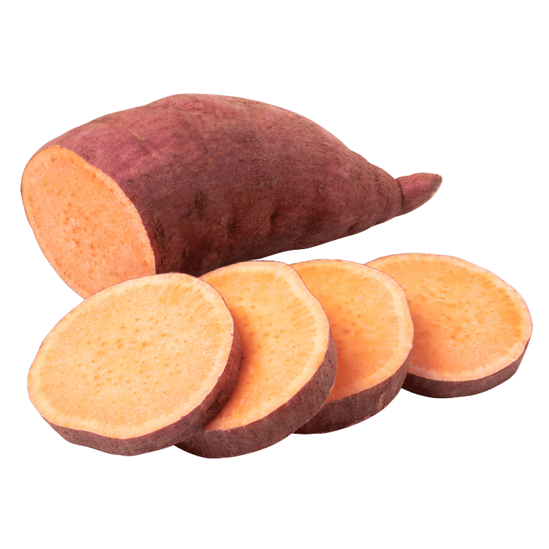 Sweet Potato