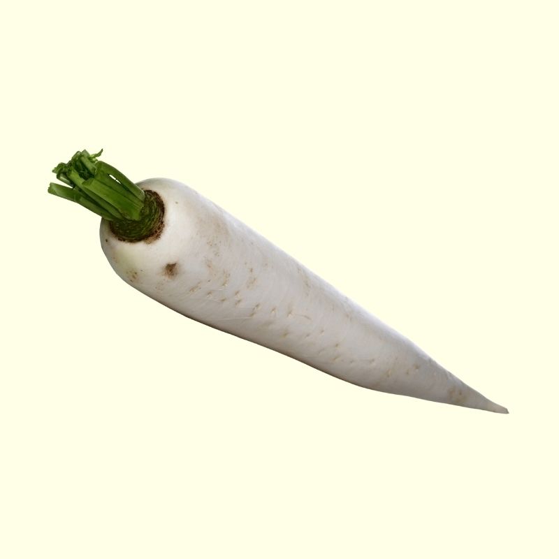 Radish