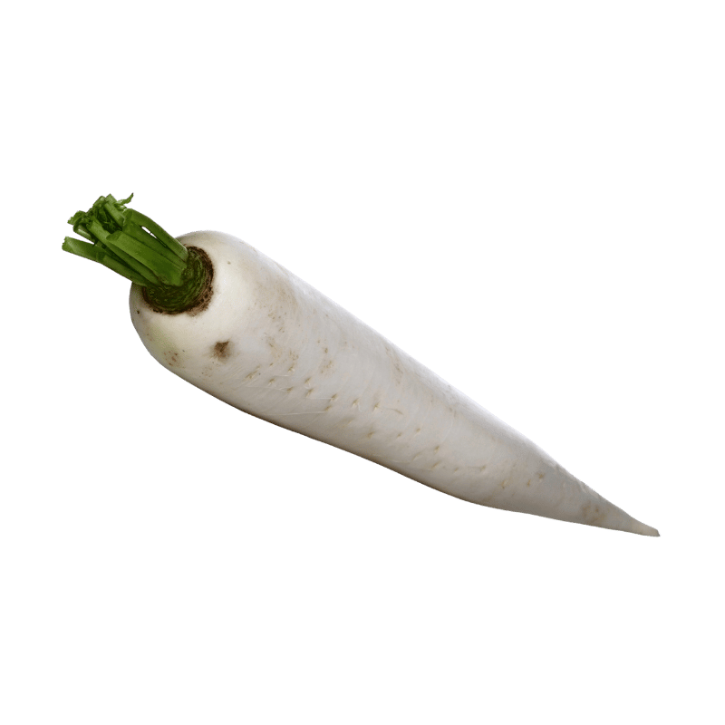 Radish