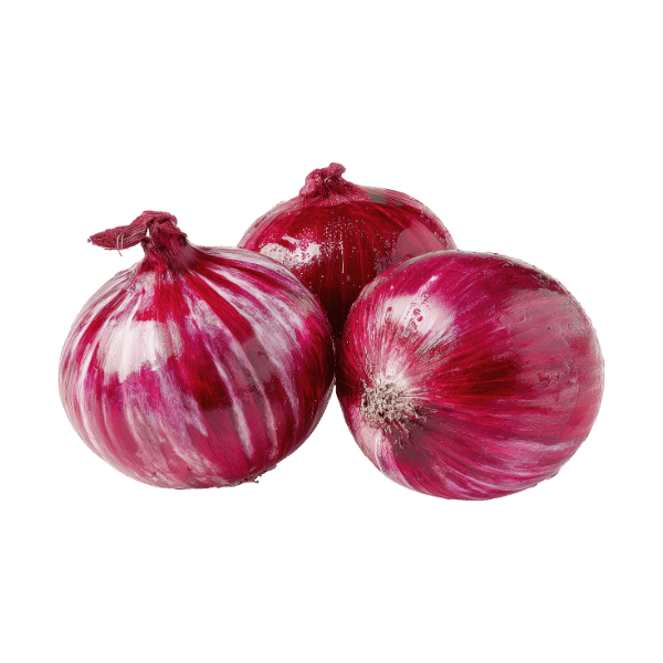 Fresh Red Onion
