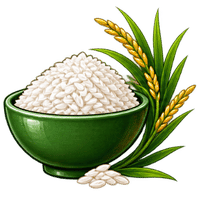 Rice / Grains
